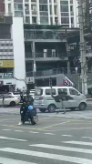 成都陌头鸵鸟“闲逛” 本地回应：系餐馆养殖