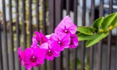 <b>夫妻冷和7天老婆发短信：“喂死了没？”丈夫答</b>